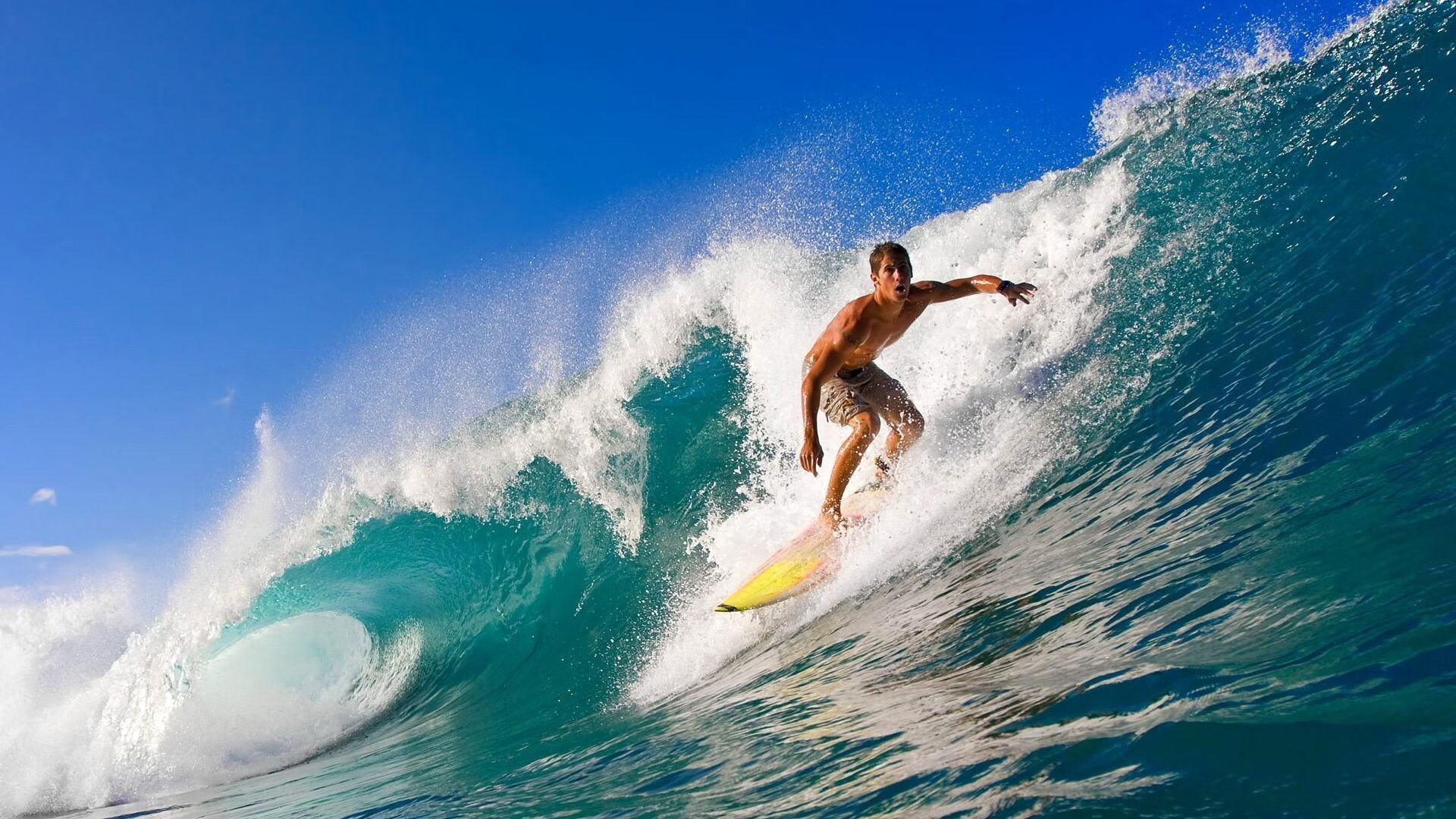 中国皮划艇队亚锦赛勇夺三金 年轻小将表现亮眼