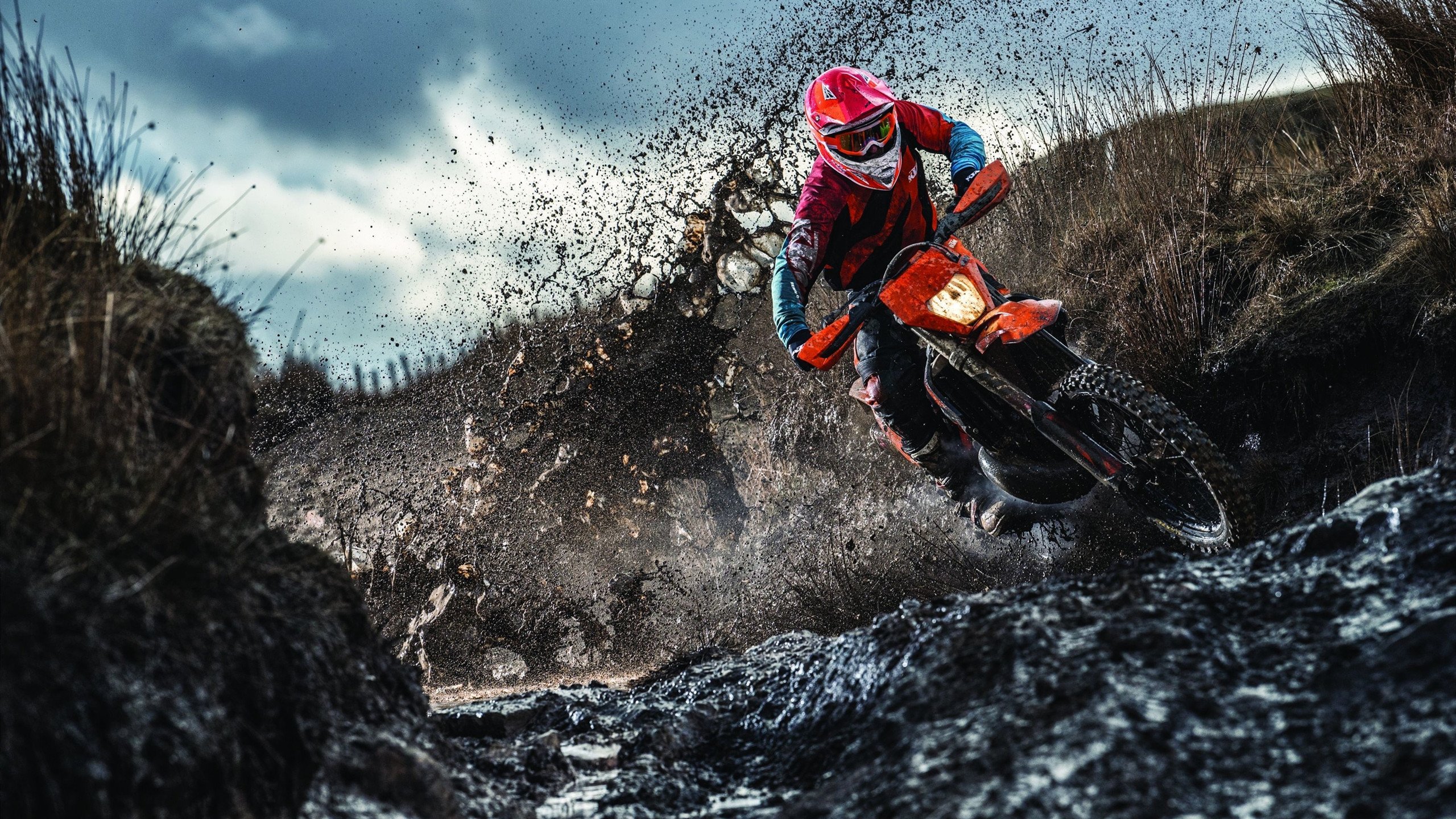 温网2024，阿尔卡拉斯与斯瓦泰克双双夺冠，新生代闪耀全英俱乐部